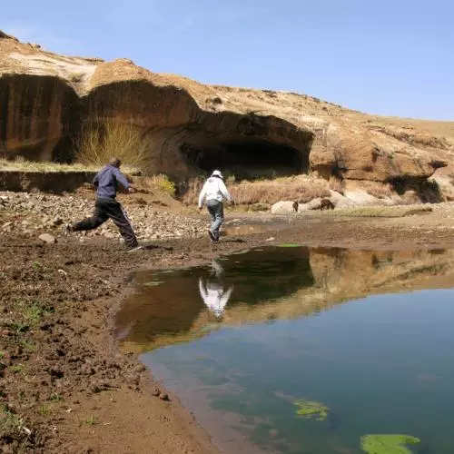 nt site