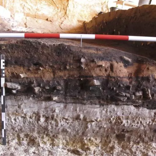 nt site