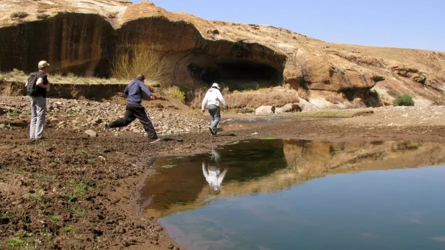 nt site
